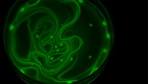 Biological Hazards in Food: A Detailed...